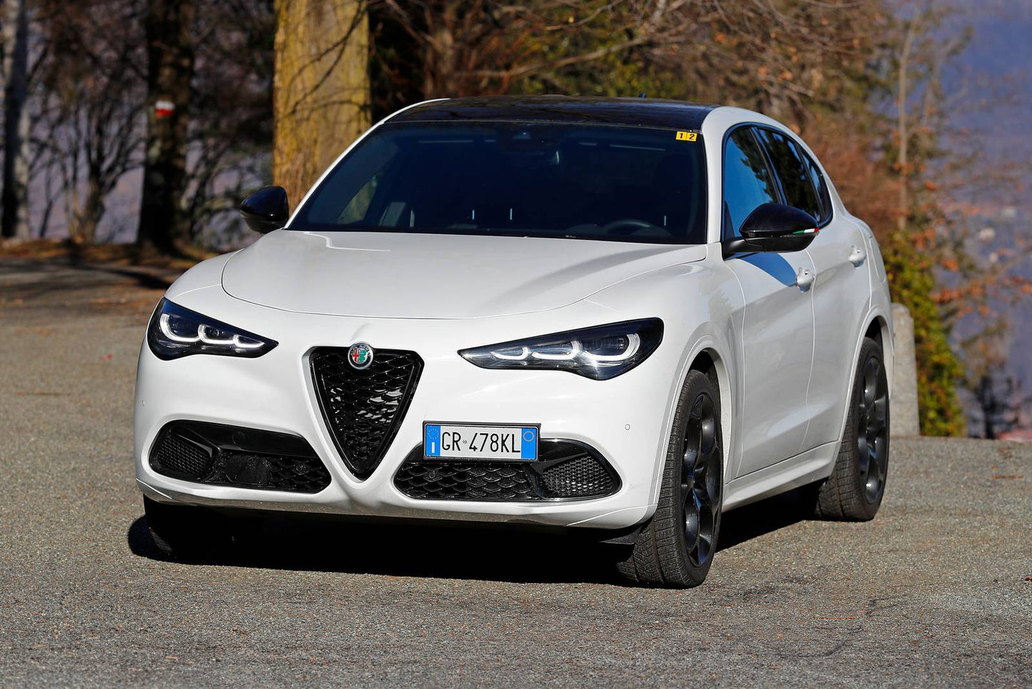 2025 Alfa Romeo Stelvio 4dr SUV AWD (2.0L 4cyl Turbo 8A)