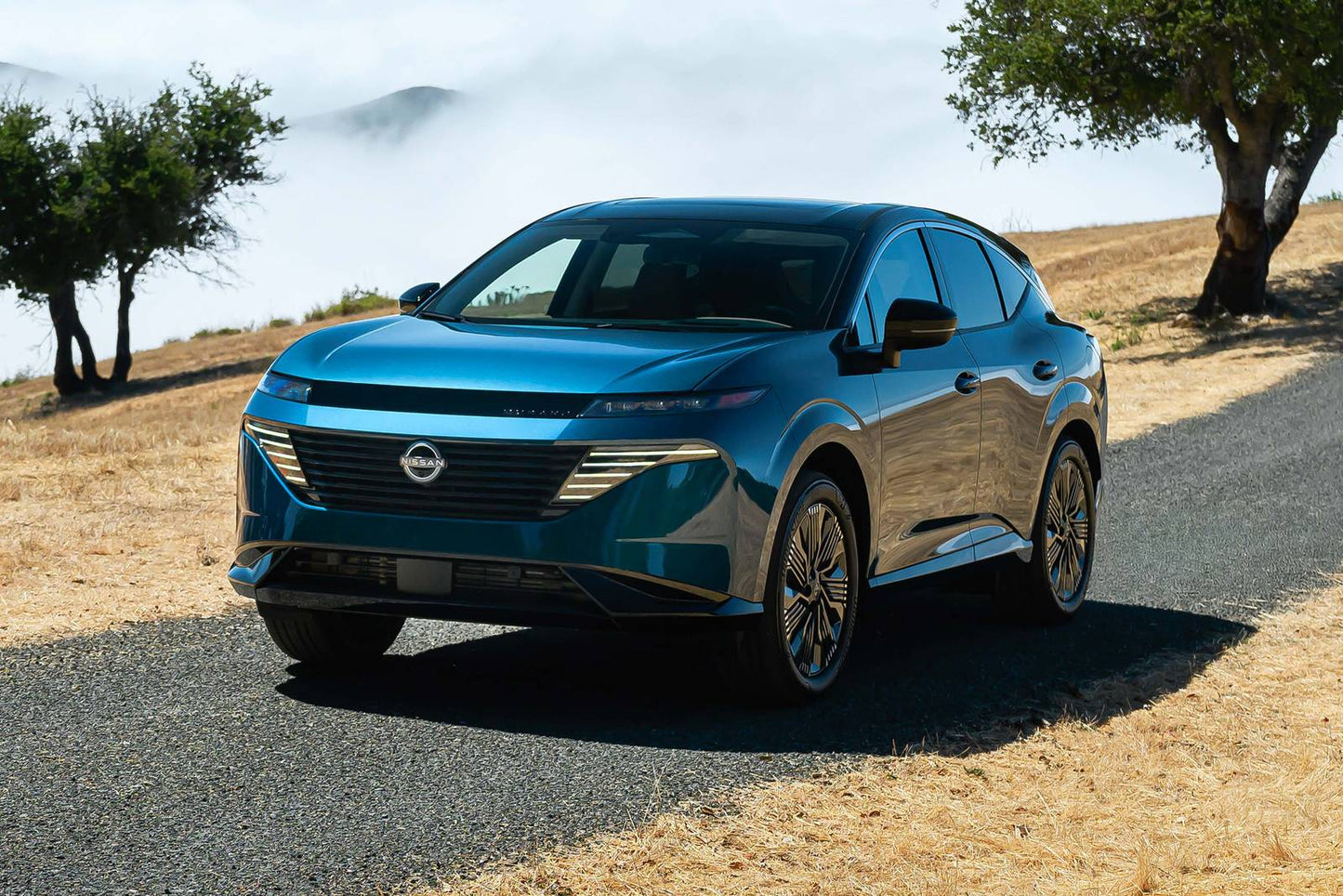 2025 Nissan Murano SL 4dr SUV AWD (2.0L 4cyl Turbo 9A)