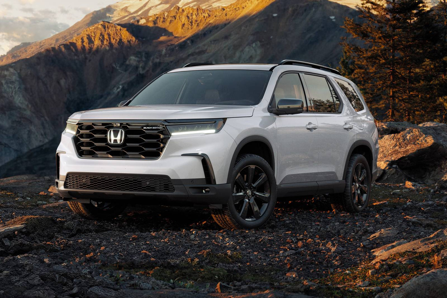 2025 Honda Pilot TrailSport 4dr SUV AWD (3.5L 6cyl 10A)