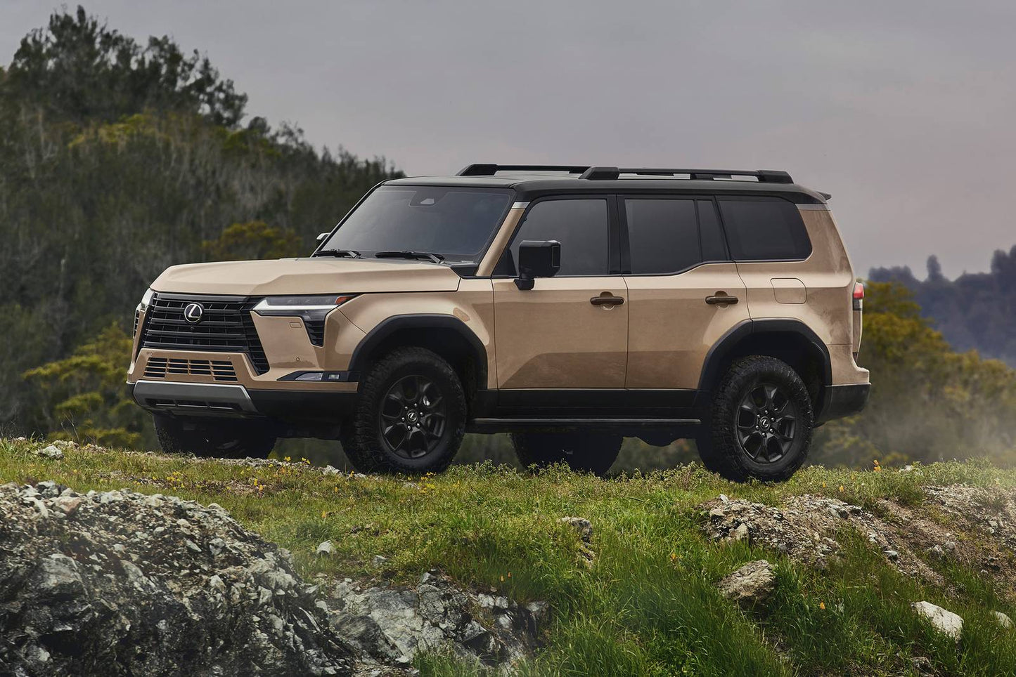 2025 Lexus GX 550 Luxury 4dr SUV 4WD (3.4L 6cyl Turbo 10A)
