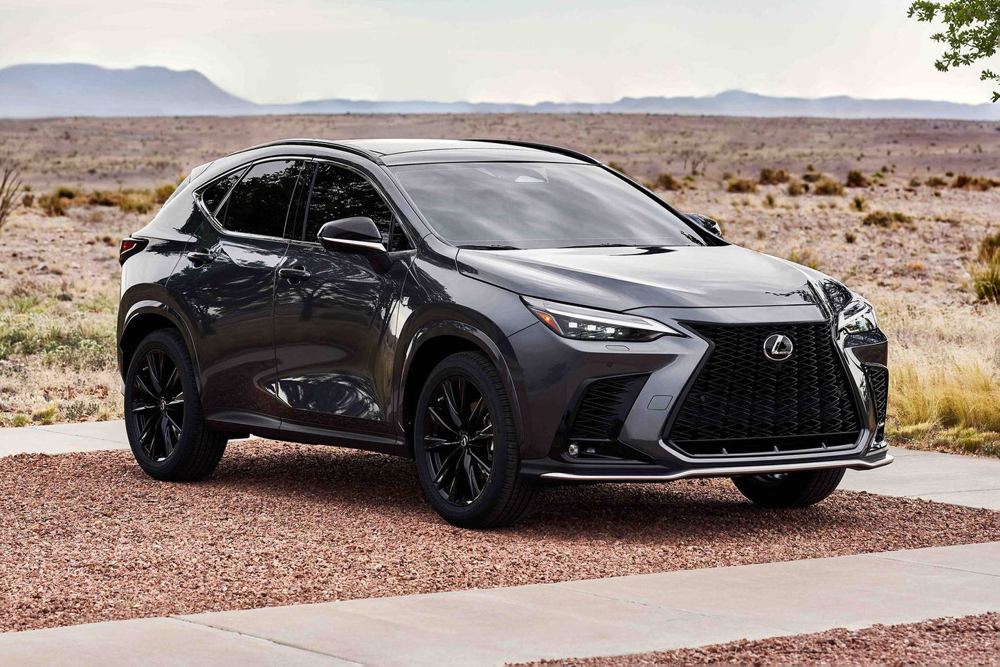 2025 Lexus NX 350 Luxury 4dr SUV AWD (2.4L 4cyl Turbo 8A)