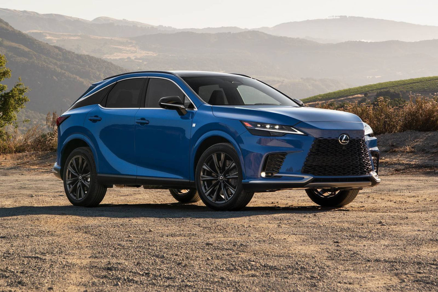 2025 Lexus RX 350 4dr SUV (2.4L 4cyl Turbo 8A)