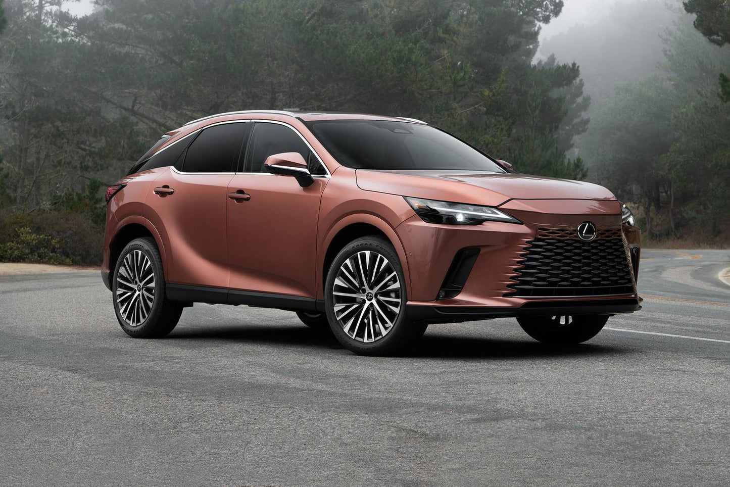 2025 Lexus RX 350 4dr SUV (2.4L 4cyl Turbo 8A)