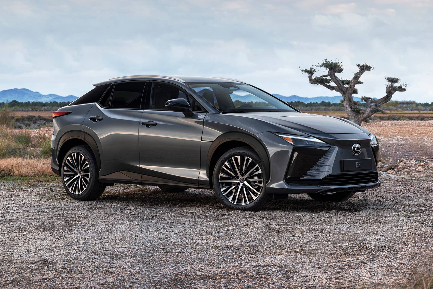 2025 Lexus RZ 300e Premium 4dr SUV w/20" Wheels (electric DD)