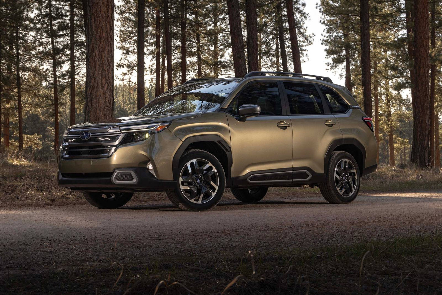 2025 Subaru Forester Wilderness 4dr SUV AWD (2.5L 4cyl CVT)