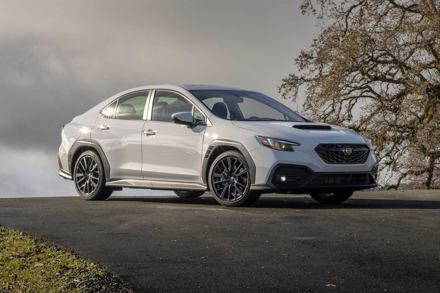 2025 Subaru WRX Limited 4dr Sedan AWD (2.4L 4cyl Turbo 6M)