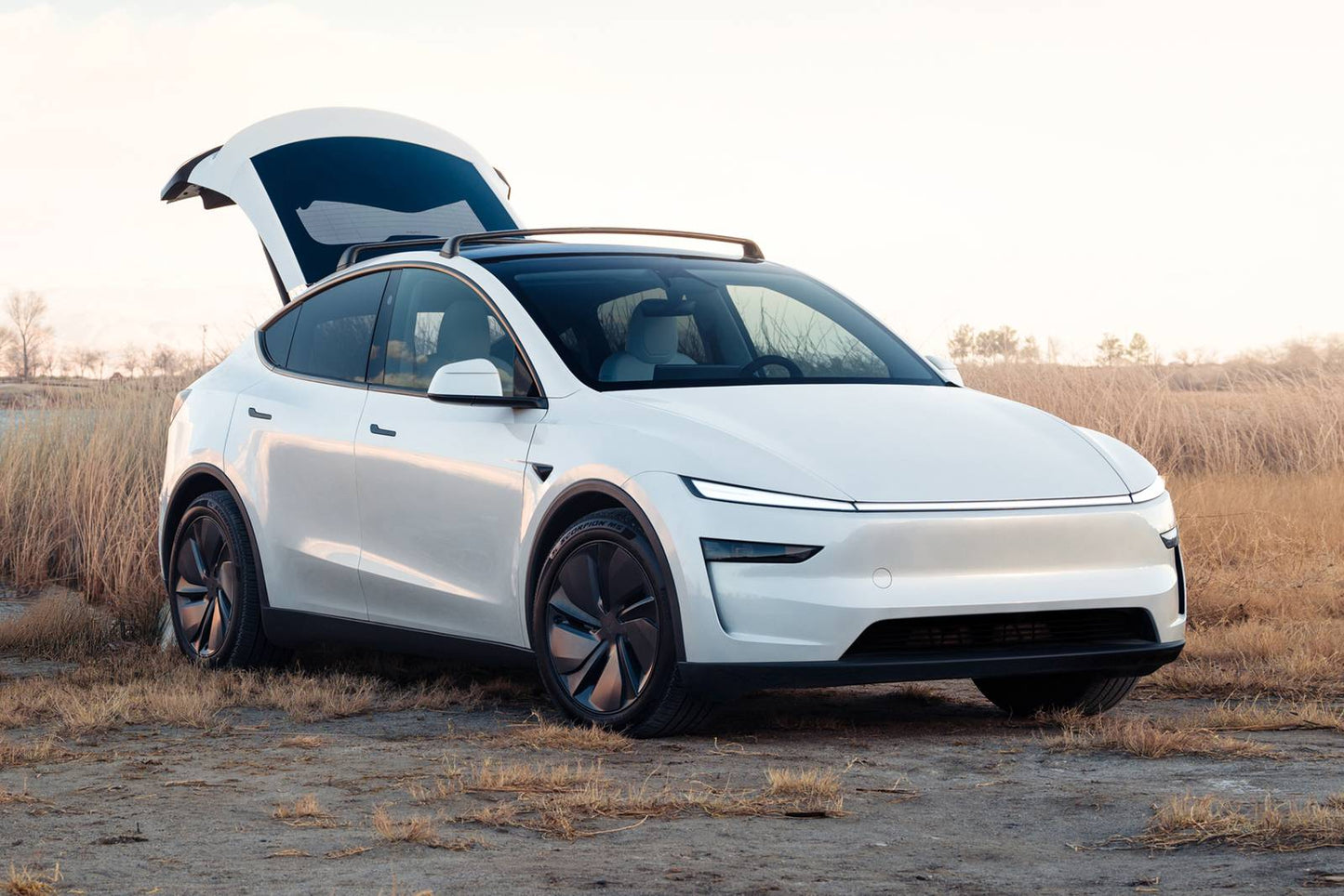 2026 Tesla Model Y Long Range Launch Series 4dr SUV AWD (electric DD)